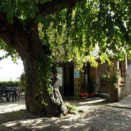 ホテルMola Solis Civitella dʼAgliano エクステリア 写真