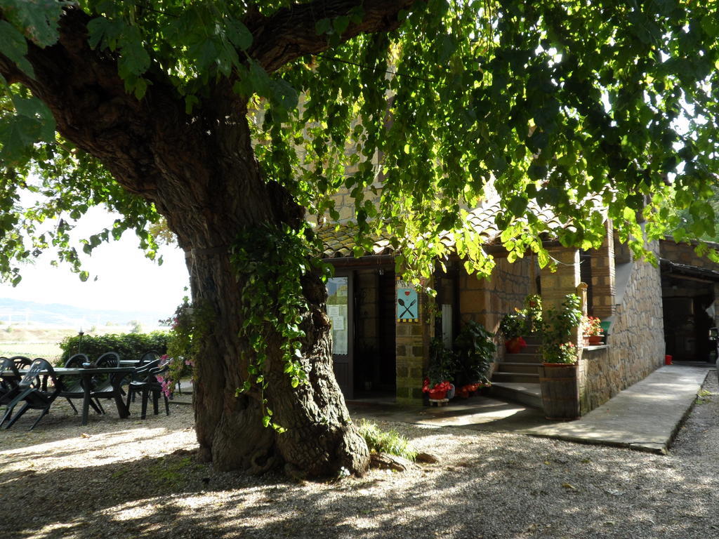 ホテルMola Solis Civitella dʼAgliano エクステリア 写真
