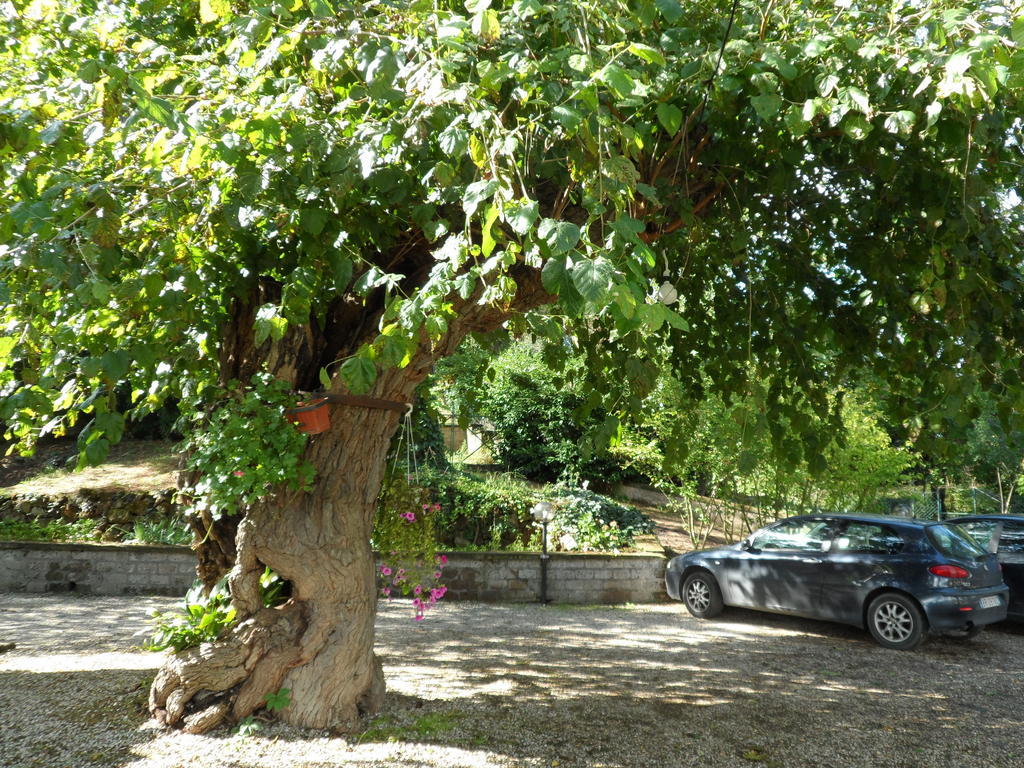 ホテルMola Solis Civitella dʼAgliano エクステリア 写真